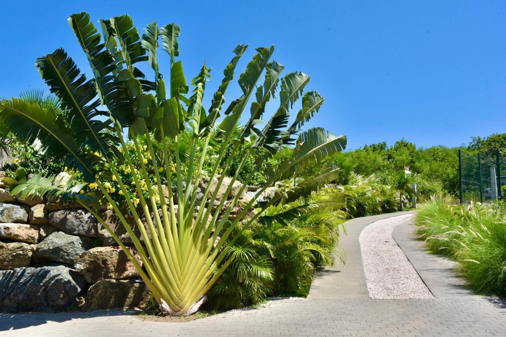 Orient Bay - Amazing Sea View - House 3Bd And 4Bd - Apartment 1 Bd Sea View - 1 Studio View Mountain Quarter of Orleans Esterno foto